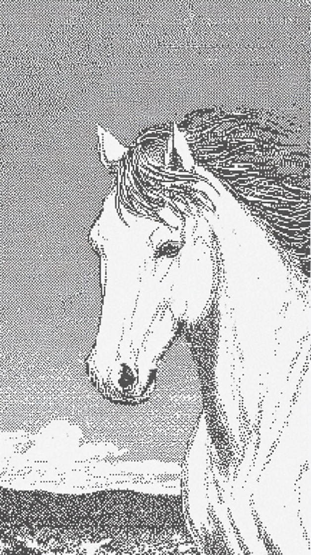 0_0 (3) 1.jpg